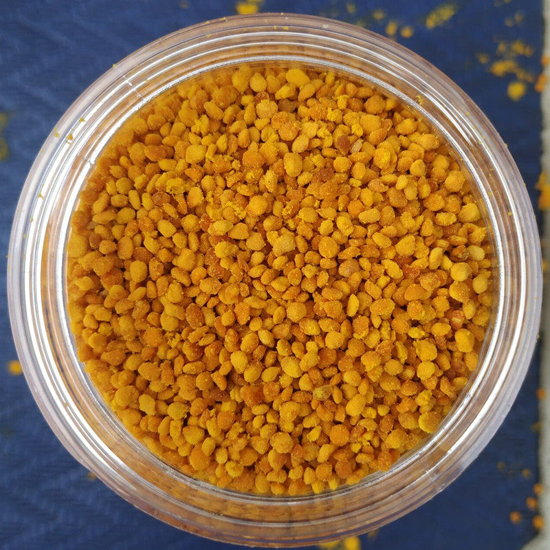 2025年天然茶花花粉蜂花粉天然自产无添加纯正茶花粉非烘干500克