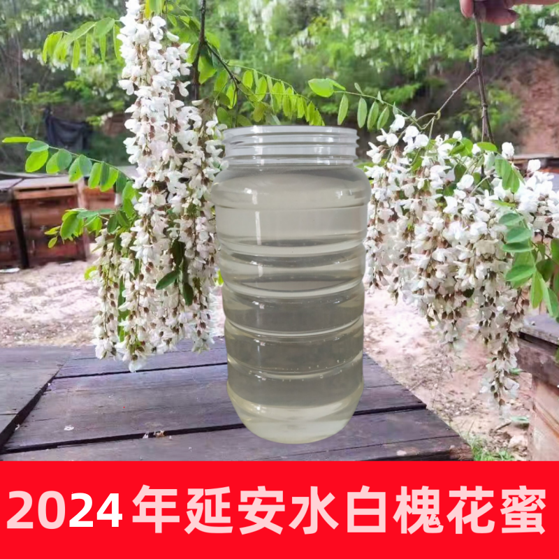 2025年纯正延安水白洋槐蜜天然全封盖槐花蜜农家自产蜂蜜孕妇儿童