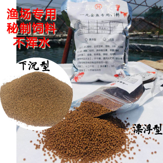 冷水鱼兰寿泰狮蝶尾漂浮下沉型