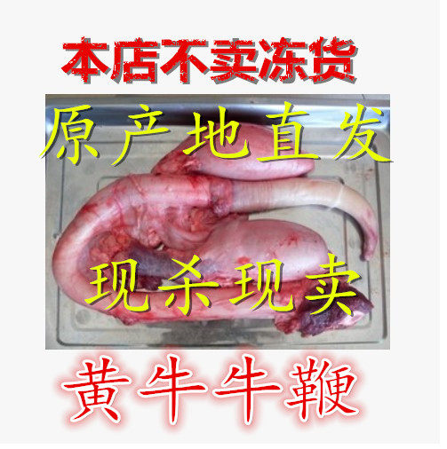 内蒙古黄牛牛鞭  公牛生殖器  新鲜牛鞭   黄牛牛鞭一套3.5到4斤