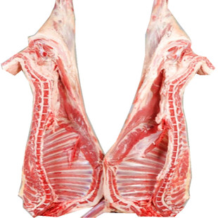 内蒙古科尔沁绵羊羊腔子 整羊 羔羊 羊排 羊腿 羊肉