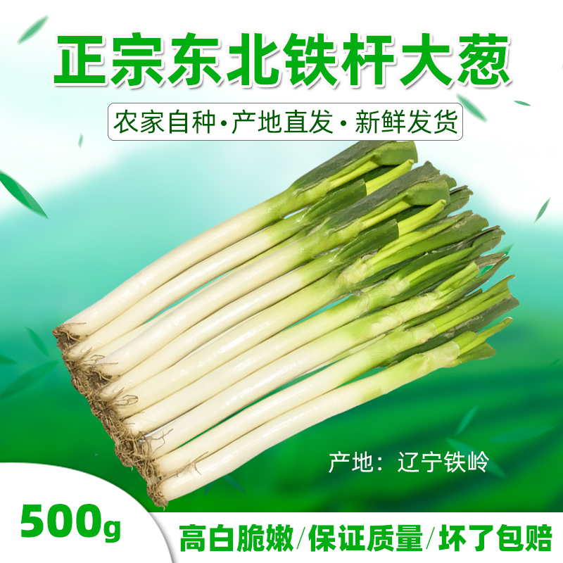 新鲜东北特产铁岭脆辣爽口大葱