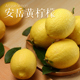 新鲜柠檬小果 1.2元 一个20个装 四川安岳新鲜尤力克黄柠檬 包邮