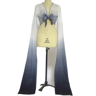 子表演服惊鸿舞古典舞蹈练习袖 渐变色袖 舞蹈服练功服成人甩袖 水袖