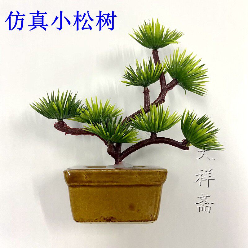 仿真小松树盆景绿植祭祖拜清明节图片