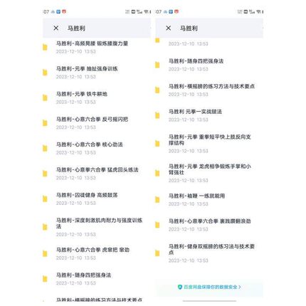 17套打包价马胜利全套 心意六合拳元拳17部视频网课教程课程a