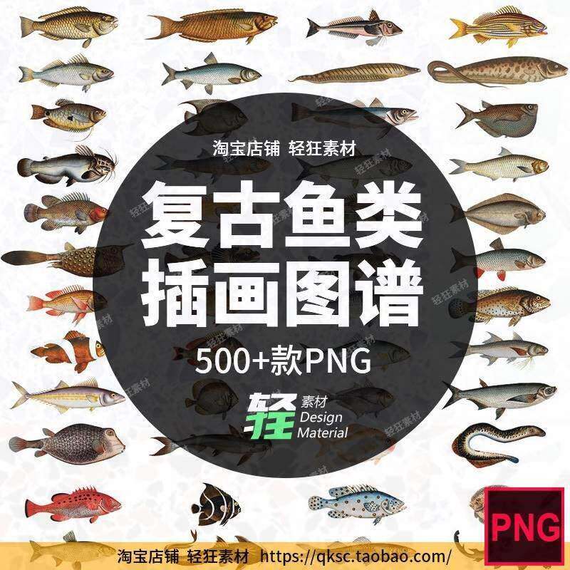 500 复古手绘鱼类河流高清图谱图鉴插画海洋PNG免扣图片设计素