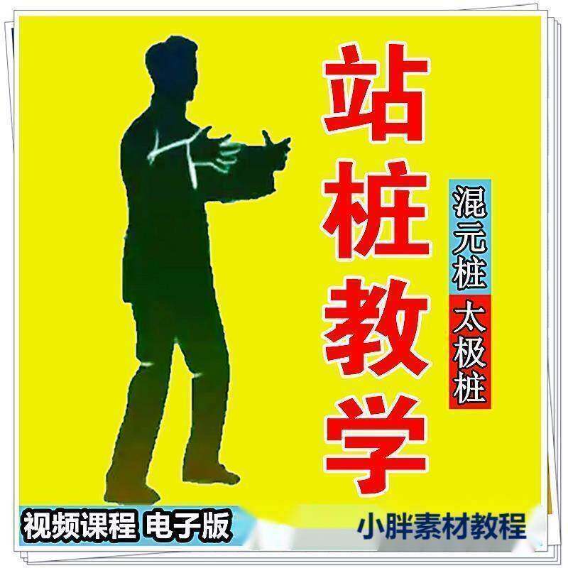 站桩教学混元桩太极桩正宗入门养生法气功大成拳影片培训资料a