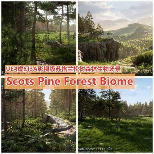 UE4虚幻5 照片极森林树林场景绝地求生 Scots Pine Forest Biome