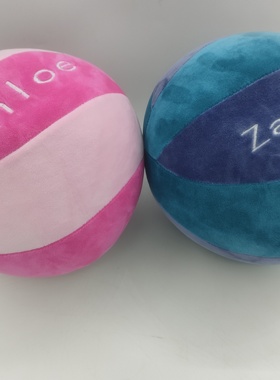 粉色毛绒排球蓝色棉球室内无声音大学生送礼21cm定制绣文字姓名男