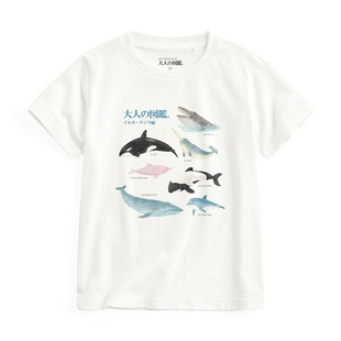 lativ 图鉴印花T恤 大人 童 诚衣