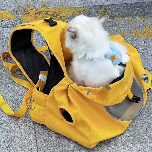 新款跨境亚马逊猫包外出便携背包透气帆布猫咪小型宠物大手提兜袋