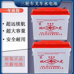 双龙水电池载重电三轮车四轮车工程车叉车12v水电瓶228型60斤70斤