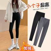 秋冬加绒高腰紧身弹力健美瑜伽打底裤 小个子鲨鱼裤 女外穿2025新款