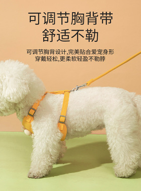 宠物外出小雏菊绣花牵引绳花边背心狗狗猫咪胸背带小型犬胸背跨境