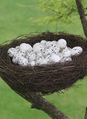 田园风格鸟真花装饰鸟窝装饰鸟蛋