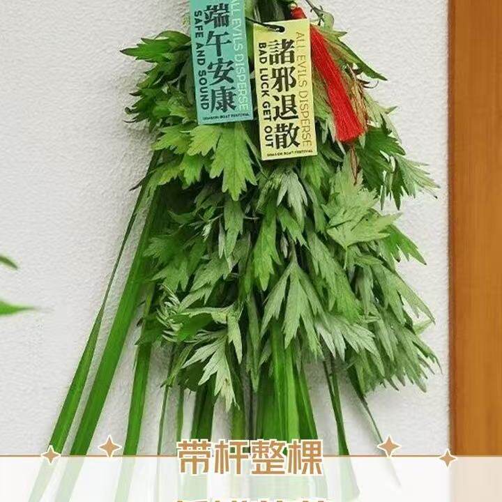 端午节现摘新鲜艾草菖蒲花束挂门窗艾蒿驱蚊虫整颗野生艾草门挂