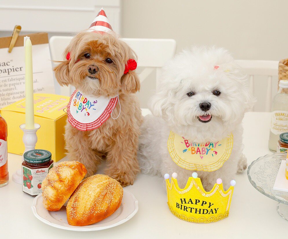宠物猫咪围兜口水巾INS新款韩生日宝贝狗狗围兜猫咪配饰拍照比熊