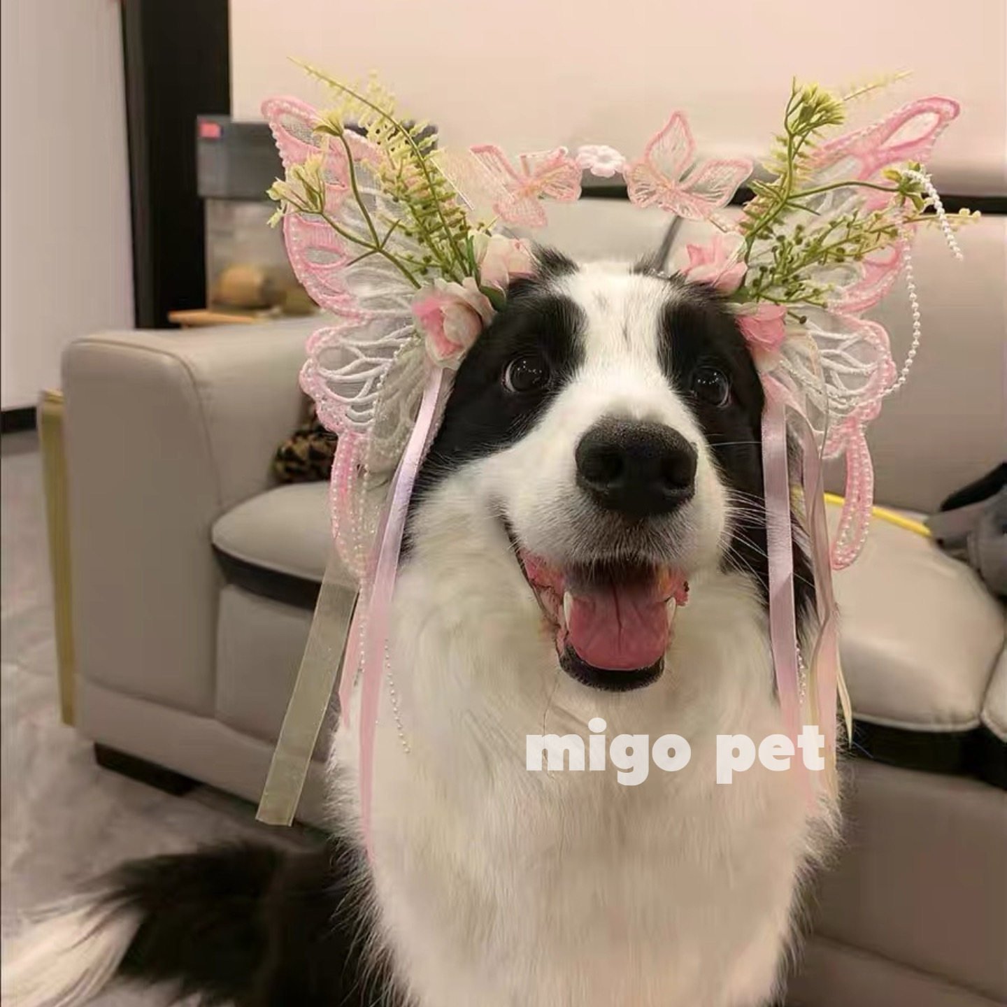 发箍头饰宠物拍照狗狗变装可爱