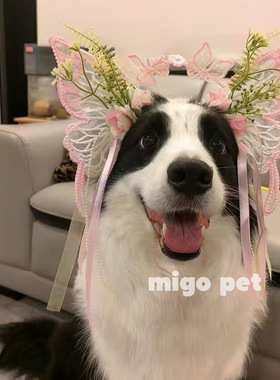 发箍头饰宠物拍照狗狗变装diy大蝴蝶拍照发饰宠物装饰边牧金毛