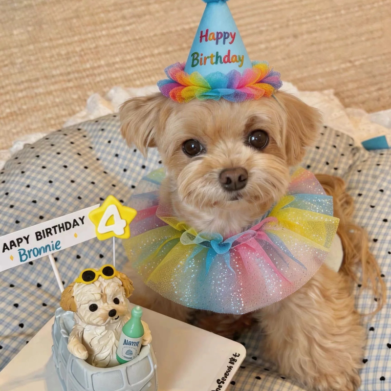 小猫生日围脖口水巾套装