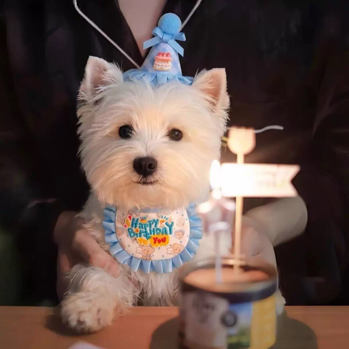 宠物生日蛋糕围兜帽子套装