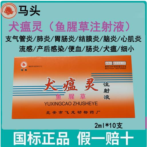 鱼腥草注射液犬猫瘟犬瘟细小肠炎