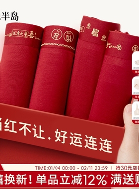 马年本命年男士内裤平角裤大码宽松透气男生四角裤红色短裤中腰