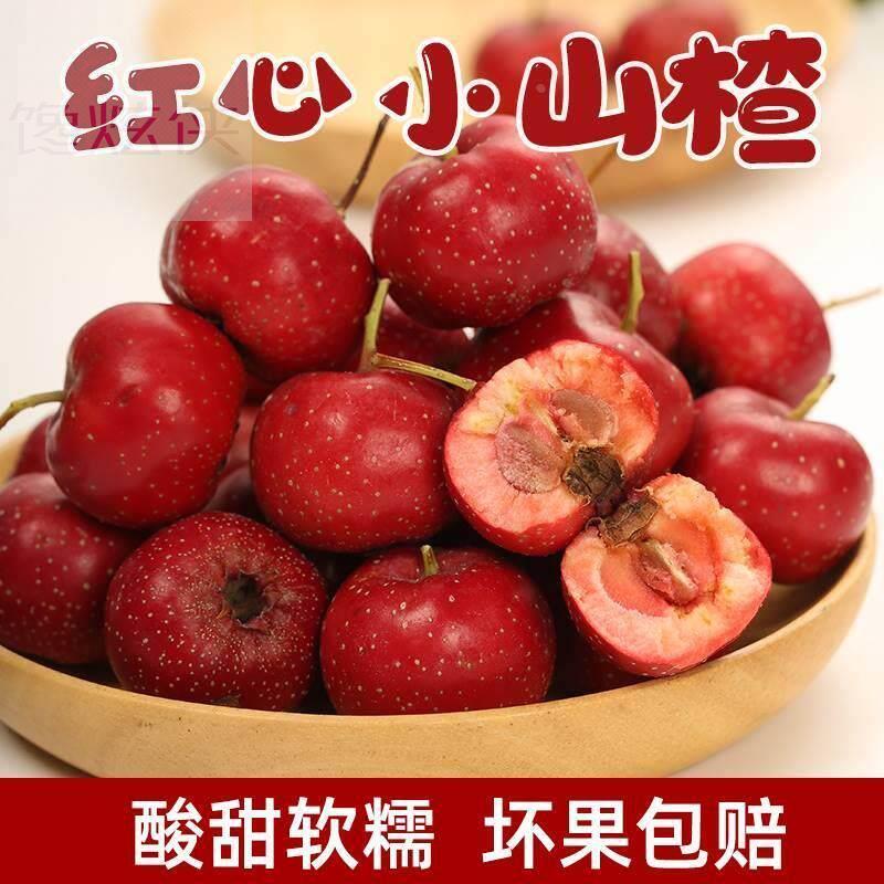 红心山楂果新鲜山楂果甜红子小山楂山里红樱桃山楂大金星山楂鲜果