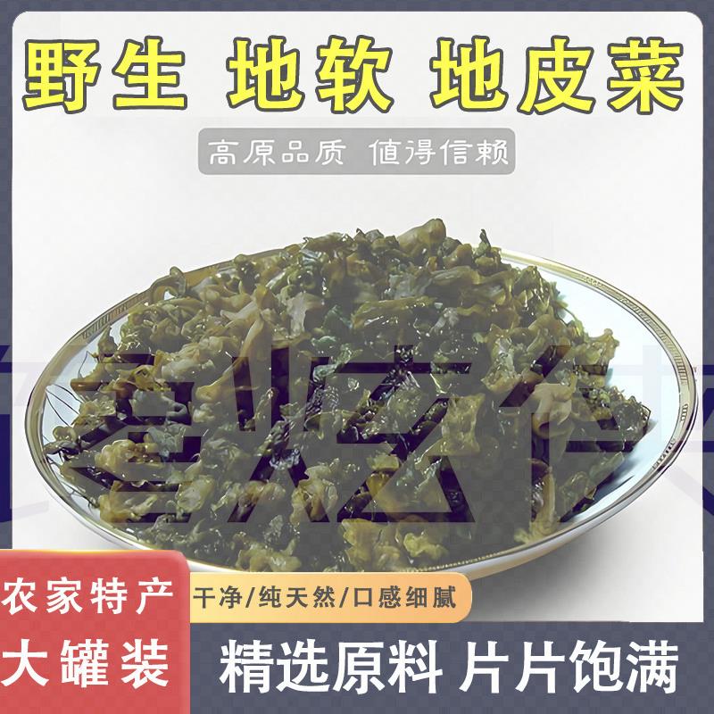地软地皮菜甘肃野生雷公菌野菜干货特级免洗地衣新地鲜木耳地角皮