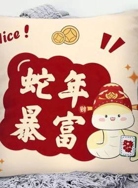 2025新款蛇年新年快乐抱枕喜庆红色双面图案枕头沙发装饰靠垫靠枕