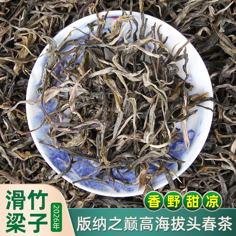 2026年春茶勐海之巅云南茶树王勐宋滑竹梁子古树普洱生茶散茶