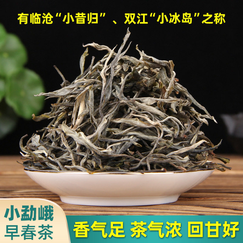临沧古树头春普洱生茶