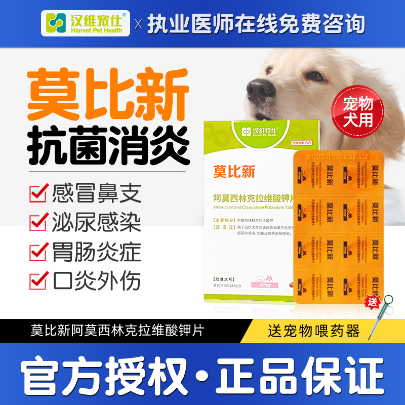汉维宠仕莫比新宠物专用阿莫西林