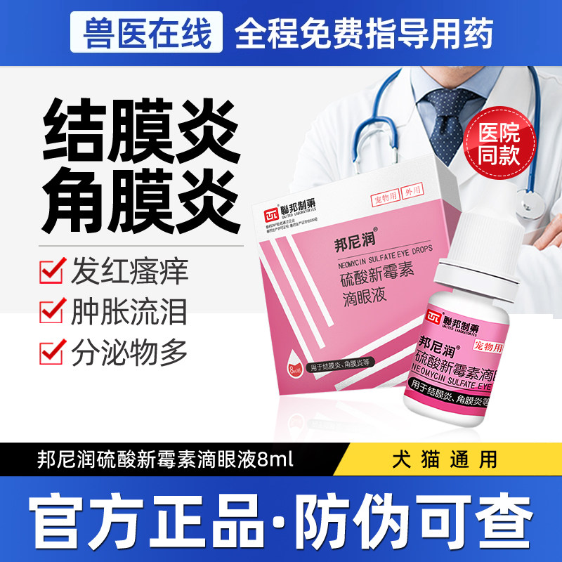 硫酸新霉素滴眼液猫咪眼药水狗狗眼睛发炎流泪结膜炎角膜抗菌消炎,宠物/宠物食品及用品,猫眼/耳/口/鼻疾病药品,淘宝优惠券,粉丝福利购,淘宝优惠卷