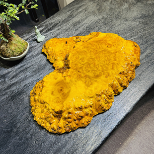 黄金樟自然随形满榴花实木底台家居装饰霸气干泡茶盘62×49×5
