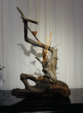 崖柏手作兰花根雕客厅树根原木家居办公装饰工艺摆件52×28×76