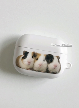韩系超可爱三只荷兰猪卡通小豚鼠适用AirPods Pro保护套进口菲林苹果airpod3/4代耳机壳萌宠哑光硬壳