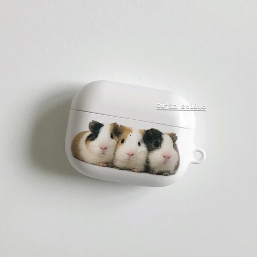 三只荷兰猪AirPodsPro保护套