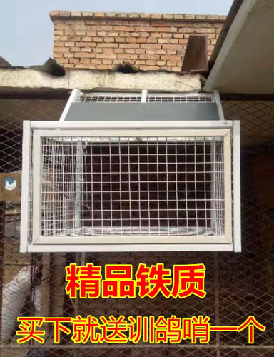 鸽子跳笼门 用品用具鸽棚舍进出口信鸽笼赛鸽放飞笼电子踏板包邮