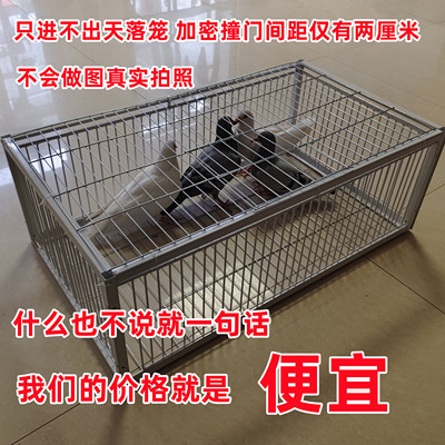 鸽子笼只进不出天落笼加密收鸽笼活络门撞门笼户外自动收鸽子神器