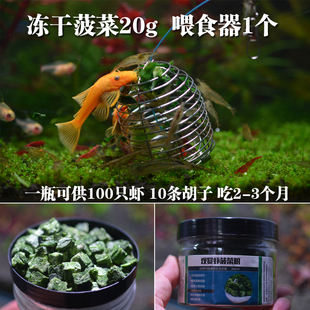 包邮 FD瞬冻脱干观赏水晶虾即食熟菠菜观赏胡子鱼宠物虾粮