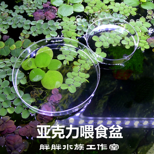 水晶虾缸高透亚克力米虾底栖鱼类喂食盆残饵可控喂食盒虾粮盘