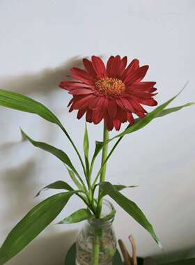 西门子触摸屏MP270B-106AV6545-0AG10