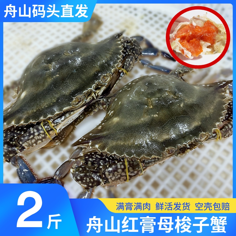 红膏梭子蟹满膏满肉鲜活发货