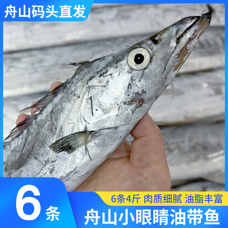 舟山小眼油带鱼产地直发包邮顺丰