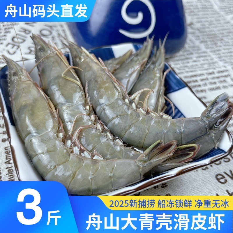 舟山大滑皮虾超大青壳虾鲜活冷冻海鲜水产哈氏虾剑虾条虾野生海虾