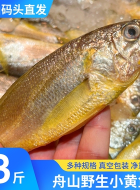 舟山野生小黄鱼新鲜鲜活冷冻东海大黄花鱼海捕海鱼海鲜水产3斤/份