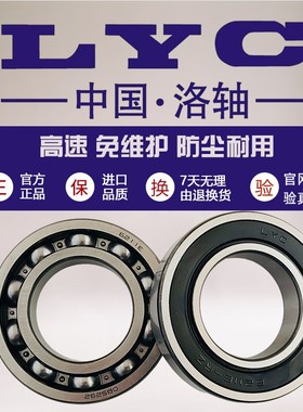 洛阳LYC/洛轴6312 6313 6314 6315 6316 6317E 2RZ高速减速机轴承