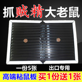 粘鼠板贴强力加大厚老鼠蟑螂药一窝端胶灭驱捕鼠神器家用 包邮